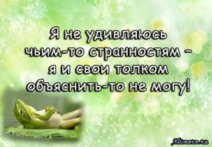 Забавные высказывания об отношении к жизни