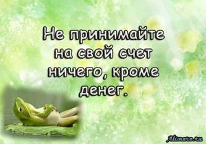 Забавные высказывания об отношении к жизни