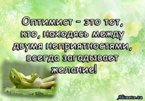 Забавные высказывания об отношении к жизни