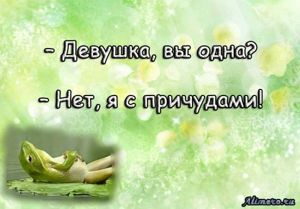 Забавные высказывания об отношении к жизни