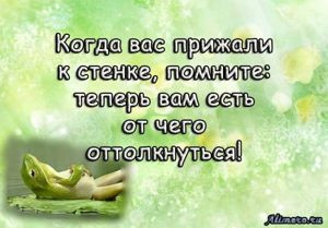 Забавные высказывания об отношении к жизни