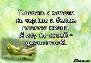 Забавные высказывания об отношении к жизни