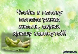 Забавные высказывания об отношении к жизни