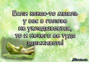 Забавные высказывания об отношении к жизни