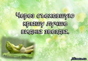 Забавные высказывания об отношении к жизни