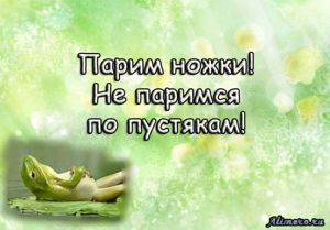 Забавные высказывания об отношении к жизни