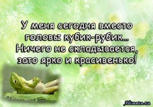Забавные высказывания об отношении к жизни