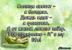 Забавные высказывания об отношении к жизни