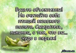 Забавные высказывания об отношении к жизни