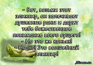 Забавные высказывания об отношении к жизни
