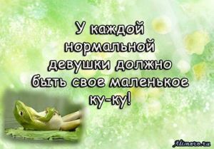 Забавные высказывания об отношении к жизни