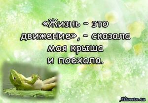 Забавные высказывания об отношении к жизни