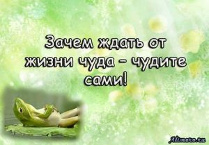 Забавные высказывания об отношении к жизни