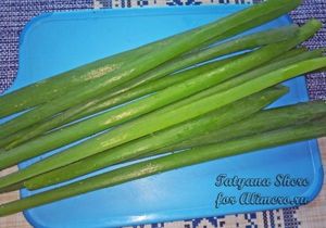 Салат с сыром и яйцом