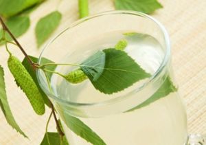 Пей от кашля сок берёзы с молоком парным, без дозы. Пей от кашля сок берёзы с молоком парным, без дозы.