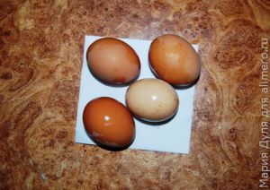 Стожки с куриным фаршем на скорую руку