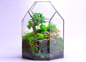 Что подарить учителю на 1 сентября