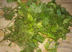 Салат из пекинской капусты с проростками