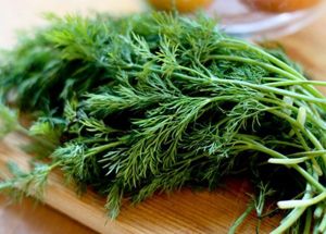 Зелень, полезная наша, куда без нее! У укропа и петрушки низкая калорийность: около 40 ккал. Так что в салаты можно рубить смело. Зелень, полезная наша, куда без нее! У укропа и петрушки низкая калорийность: около 40 ккал. Так что в салаты можно рубить смело.