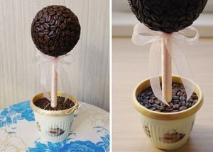 Топиарий из кофейных зерен