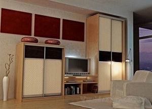 Шкаф-купе с телевизором