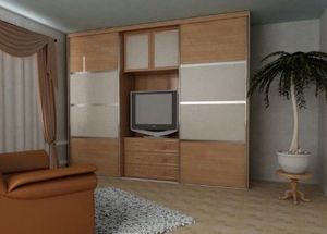 Шкаф-купе с телевизором