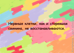 Цитаты из сериала Кухня
