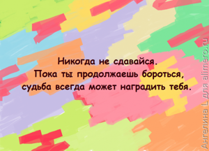 Цитаты из сериала Кухня