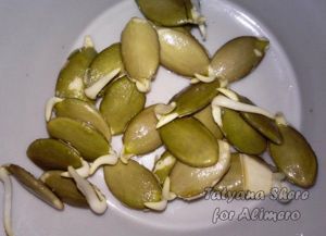 Салат из пекинской капусты с проростками