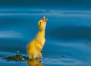 Еще немного, еще чуть-чуть… Еще немного, еще чуть-чуть…