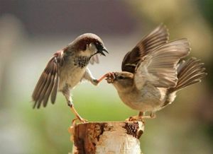 Shut your mouth. Shut your mouth.