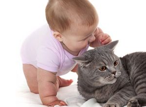 Пес, охраняющий безмятежный сон ребенка. Сколько верности в глазах животного, прямо дух захватывает. Если у вас есть домашний питомец, обязательно сделайте несколько подобных снимков.