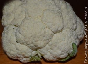 закуска