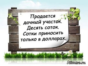 18 забавных объявлений