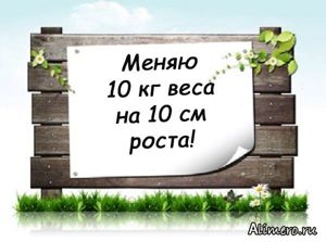 18 забавных объявлений