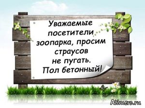18 забавных объявлений