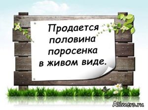 18 забавных объявлений