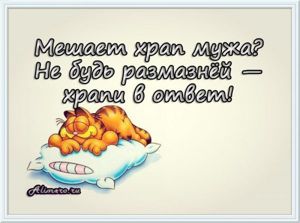 Забавные высказывания о сне
