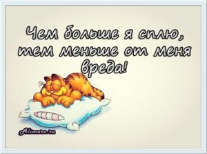 Забавные высказывания о сне