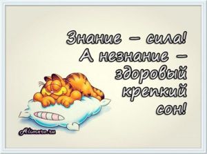 Забавные высказывания о сне