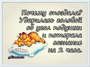 Забавные высказывания о сне