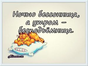 Забавные высказывания о сне