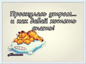 Забавные высказывания о сне