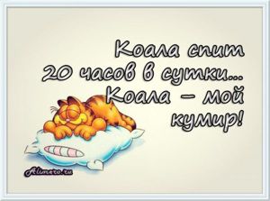 Забавные высказывания о сне