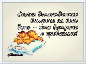 Забавные высказывания о сне