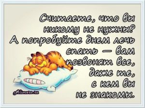 Забавные высказывания о сне