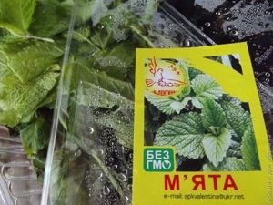 охлаждающий коктейль из арбуза