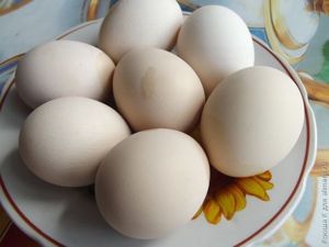 пасхальные яйца