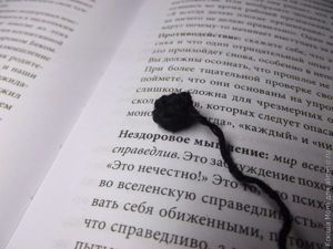 закладка паучок