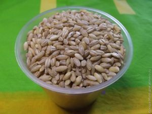 перловая каша в мультиварке